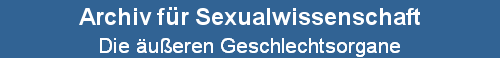 Die ueren Geschlechtsorgane