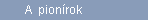 A  pionrok