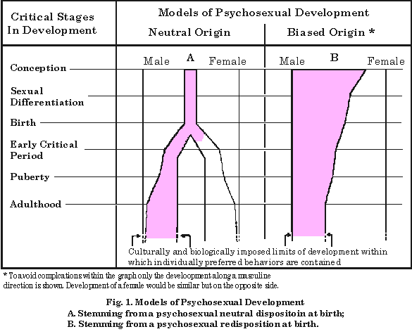 Image. Graph, models of psychsexual development