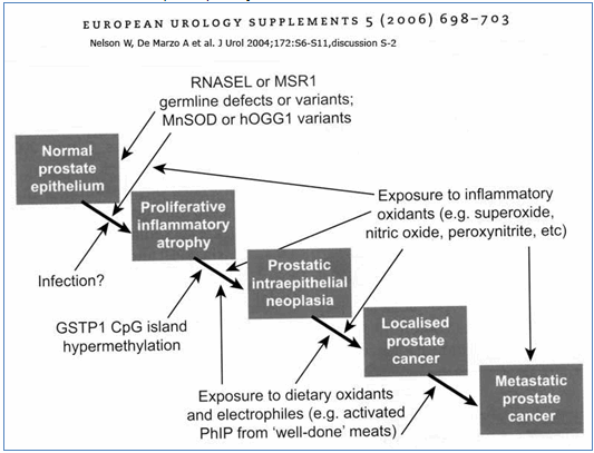 CaPInflamacion