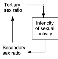 The regulation of tertiary and secondary sex ratio