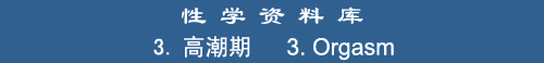 3. Orgasm