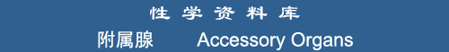 Accessory Organs