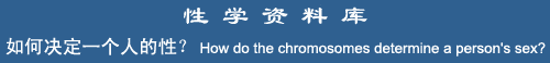 How do the chromosomes determine a person's sex?