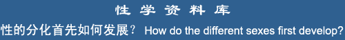 How do the different sexes first develop?