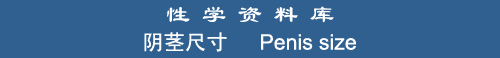 Penis Size