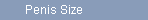 Penis Size