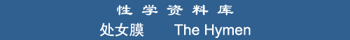 The Hymen