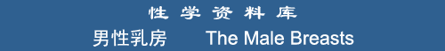The Male Breasts