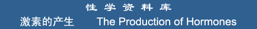 The Production of Hormones