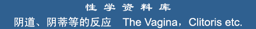 Vagina, Clitoris etc.