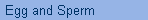 Egg and Sperm