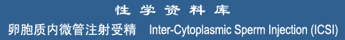 Inter-Cytoplasmic Sperm Injection (ICSI)