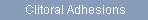 Clitoral Adhesions