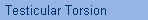 Testicular Torsion