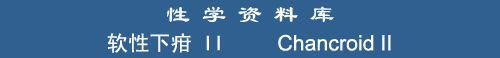 Chancroid II