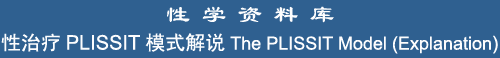 The PLISSIT Model of Sex Therapy (Explanation)
