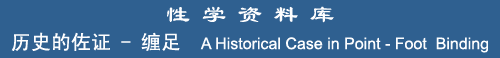 A Historical Case in Point - Foot Binding 2