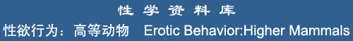 Erotic Behavior: Higher Mammals