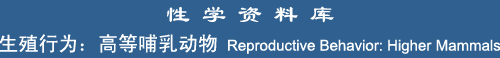 Reproduction: Higher Mammals