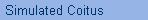 Simulated Coitus