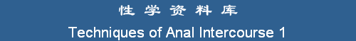 Techniques of Anal Intercourse 1