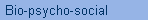 Bio-psycho-social