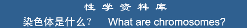 What are chromosomes?