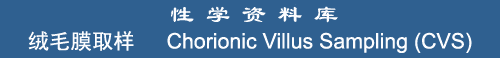 Chorionic villus sampling (CVS)