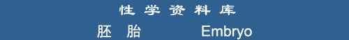 Embryo