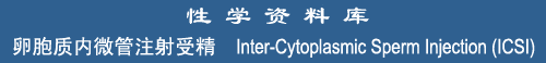Inter-Cytoplasmic Sperm Injection (ICSI)