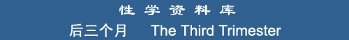 The Third Trimester