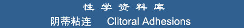 Clitoral Adhesions