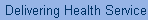 Delivering Health Services
