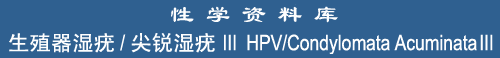 Human Papilloma Virus (HPV) III