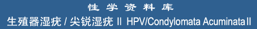 Human Papilloma Virus (HPV) II