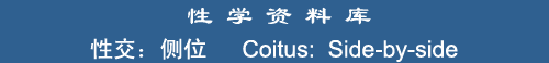 Coitus: Side-by-side