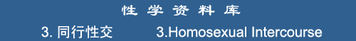 3. Homosexual Intercourse