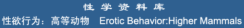 Erotic Behavior: Higher Mammals