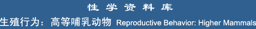 Reproduction: Higher Mammals