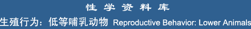 Reproduction: Lower Mammals