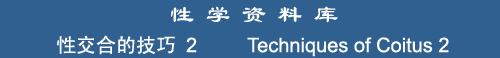 Techniques of Coitus 2