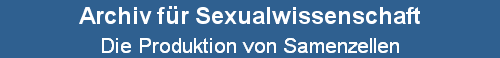 Die Produktion von Samenzellen
