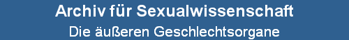 Die ueren Geschlechtsorgane