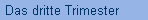 Das dritte Trimester