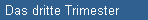Das dritte Trimester