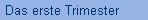 Das erste Trimester