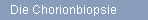 Die Chorionbiopsie
