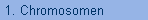 1. Chromosomen