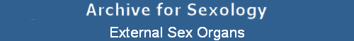External Sex Organs